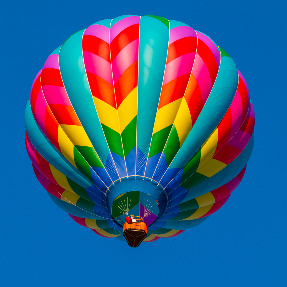 Plainville Balloon Fest